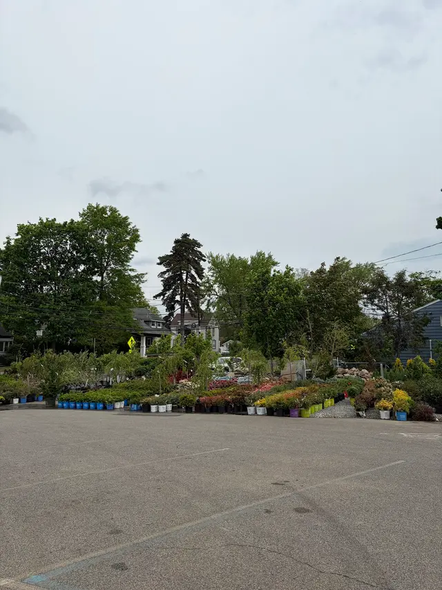 New Bridge Farm & Garden — customer photo 12