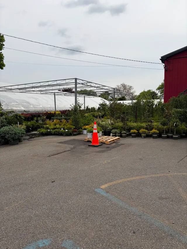 New Bridge Farm & Garden — customer photo 11