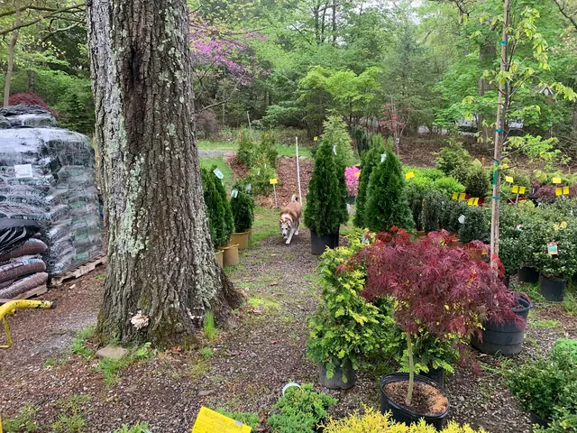 Glenwild Garden Center — customer photo 9