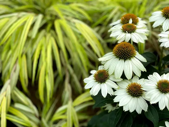 Glenwild Garden Center — photo from the business 6