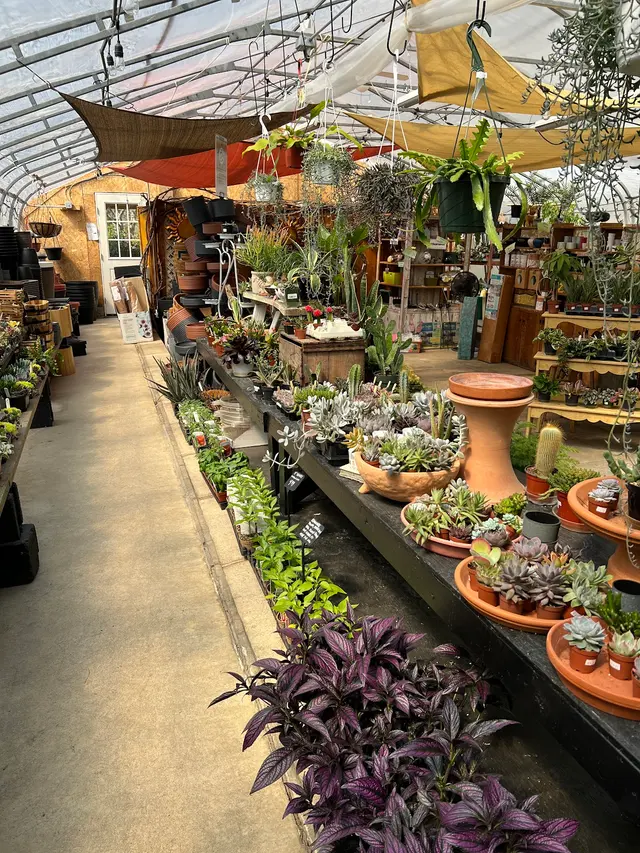 Glenwild Garden Center — customer photo 11