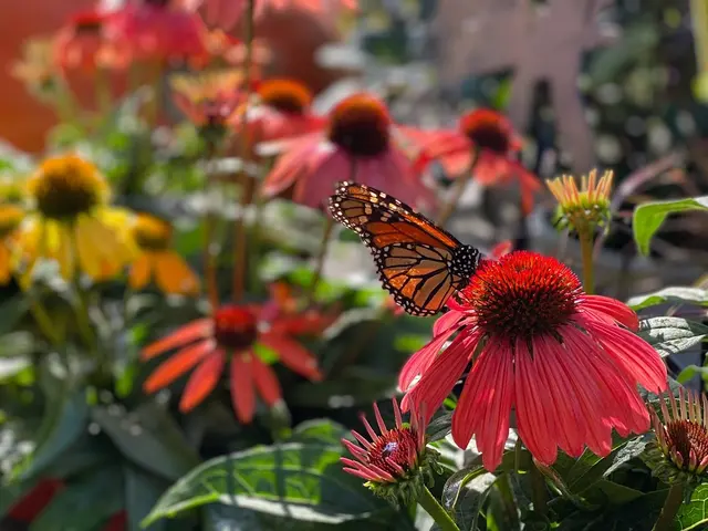 Glenwild Garden Center — photo from the business 2