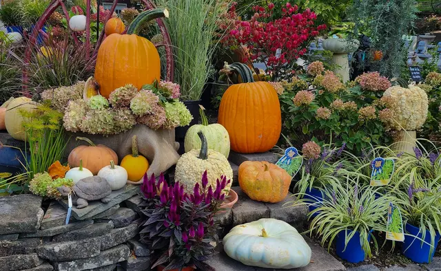 Glenwild Garden Center — customer photo 10
