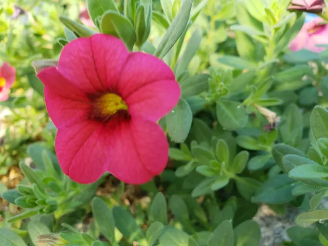 Eden Farms — photo from the business 11