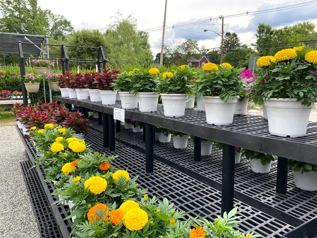 Eden Farms — customer photo 10