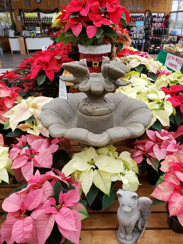 Eden Farms — photo from the business 5