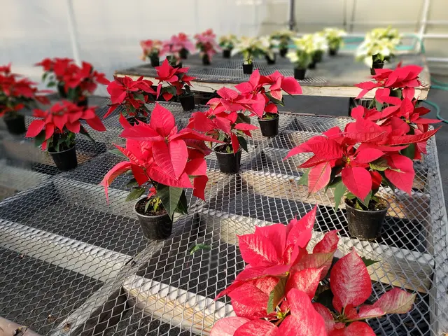 Eden Farms — photo from the business 12
