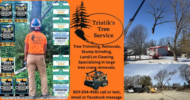 Triatik's Tree Service, LLC — photo from the business 5