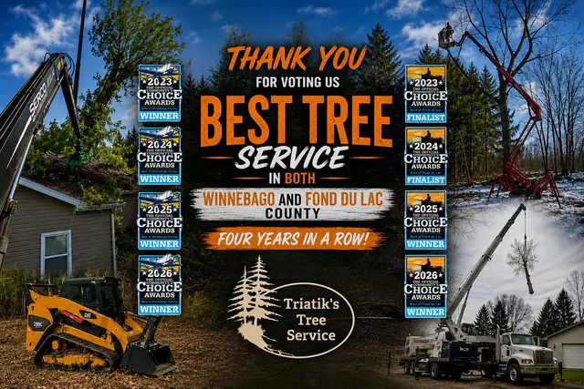 Triatik's Tree Service, LLC — photo from the business 1