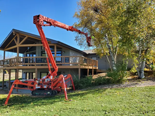 Triatik's Tree Service, LLC — photo from the business 9