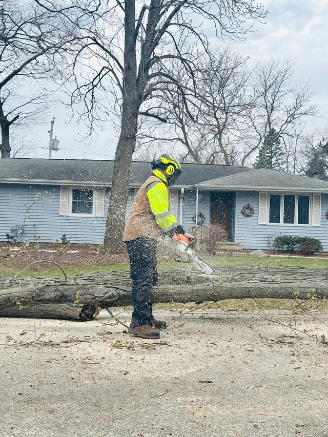 Triatik's Tree Service, LLC — photo from the business 3