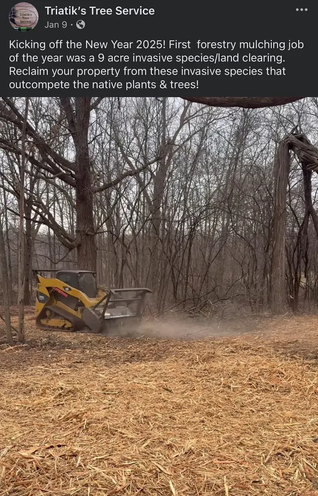 Triatik's Tree Service, LLC — photo from the business 7
