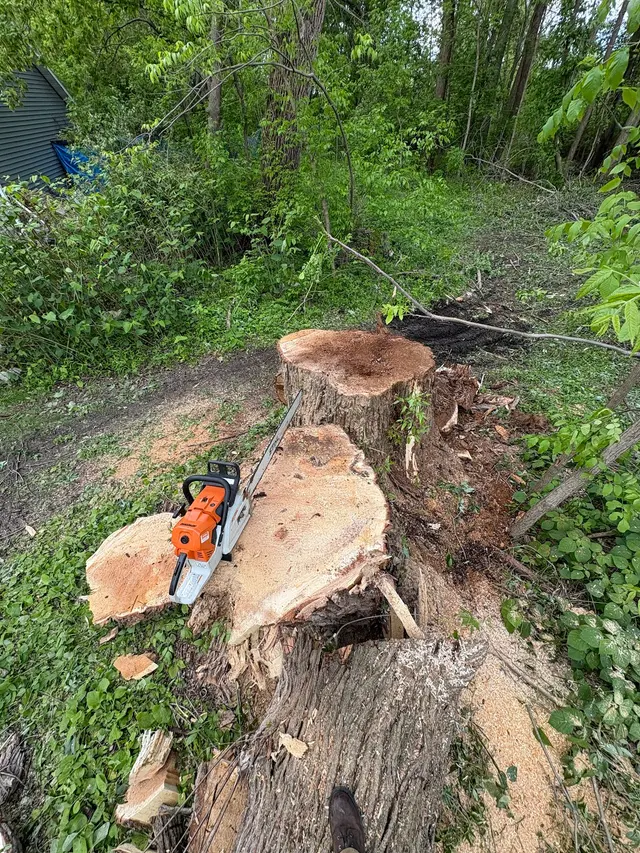 Triatik's Tree Service, LLC — photo from the business 8