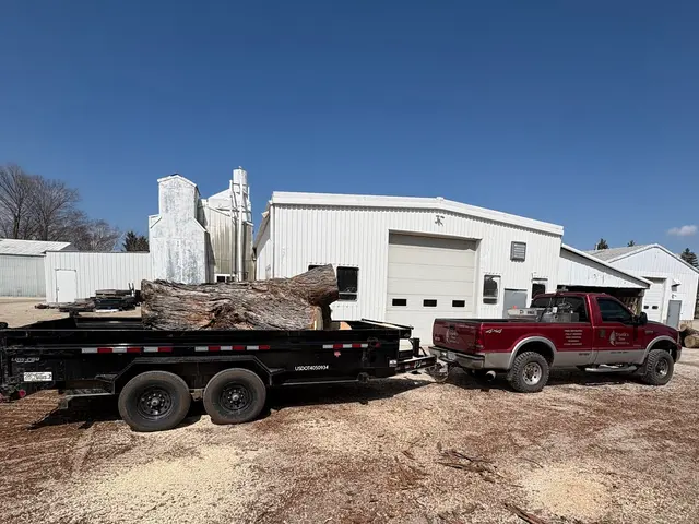 Triatik's Tree Service, LLC — photo from the business 4