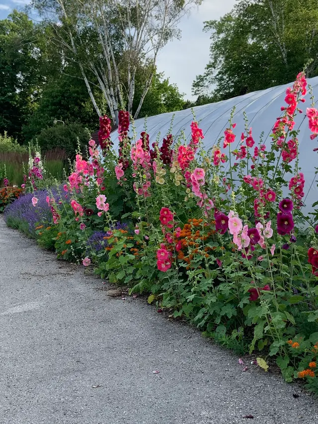 Hollyhock Acres Landscape — photo from the business 9