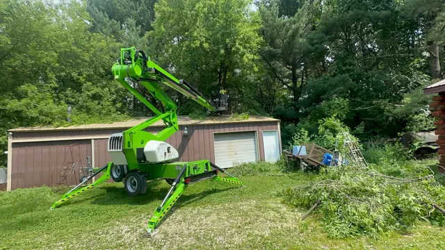 Organic tree service. — customer photo 6