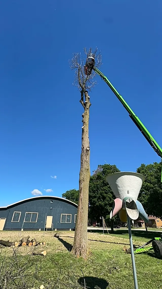 Organic tree service. — customer photo 11