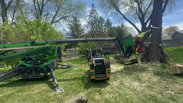 Organic tree service. — customer photo 2