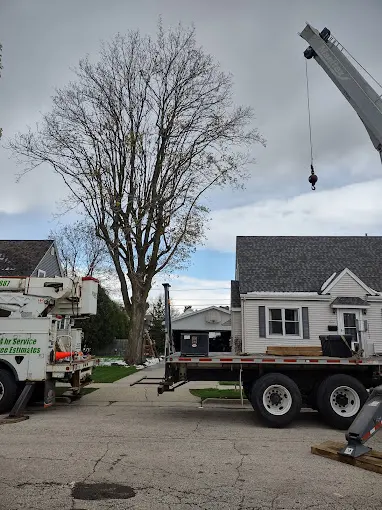 Torres Tree Service, LLC — photo from the business 7