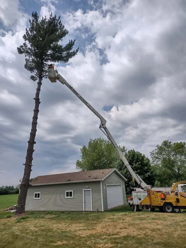 Torres Tree Service, LLC — photo from the business 4