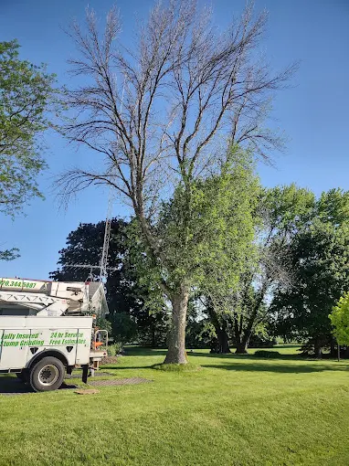 Torres Tree Service, LLC — photo from the business 5