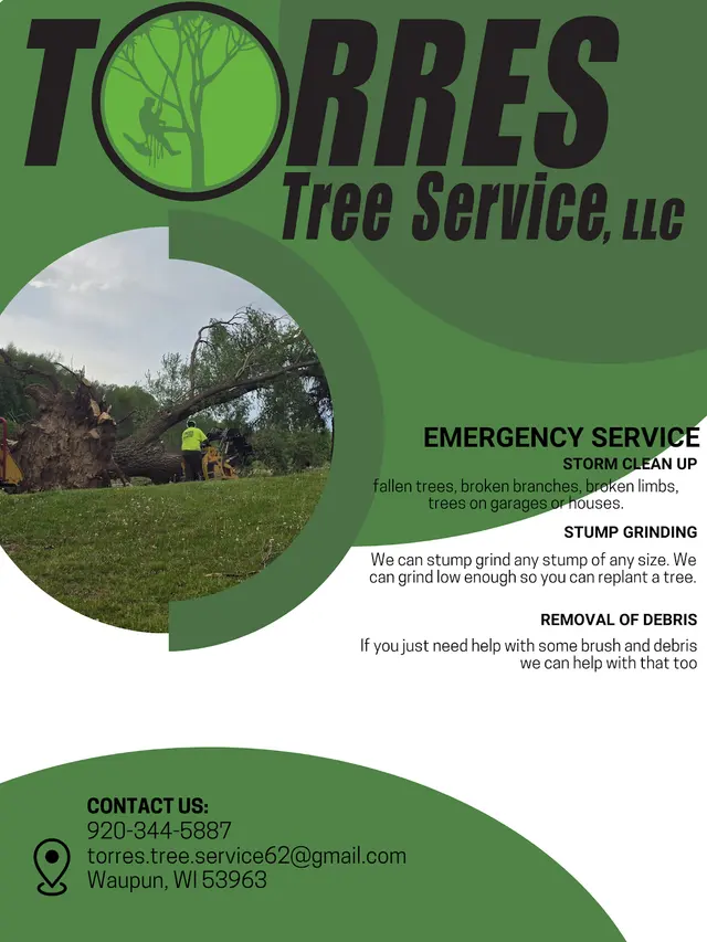 Torres Tree Service, LLC — photo from the business 12