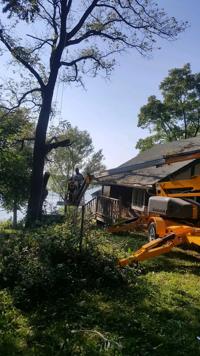 Torres Tree Service, LLC — photo from the business 1