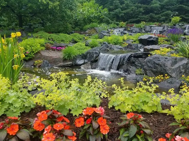 Aquatica — photo from the business 10