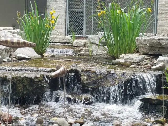 Aquatica — photo from the business 5