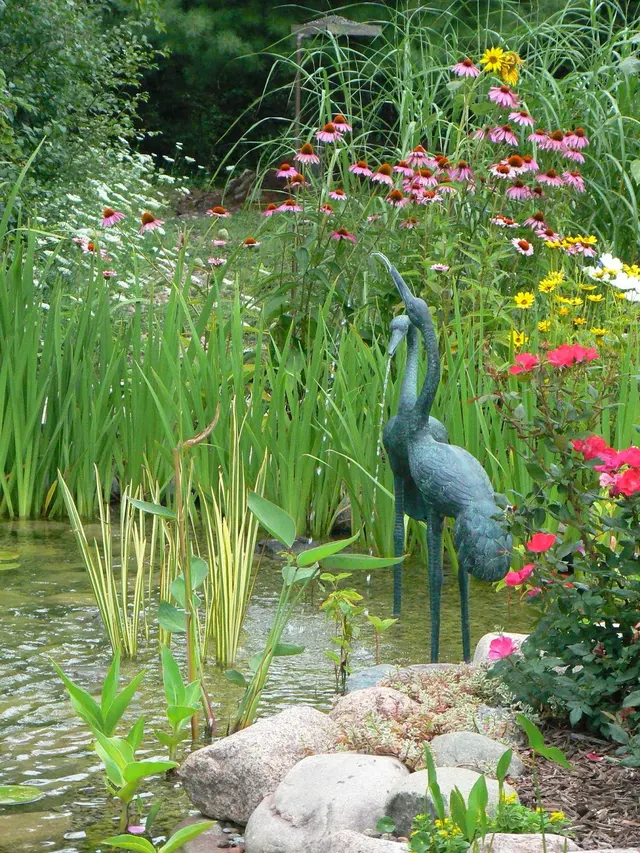 Aquatica — photo from the business 8