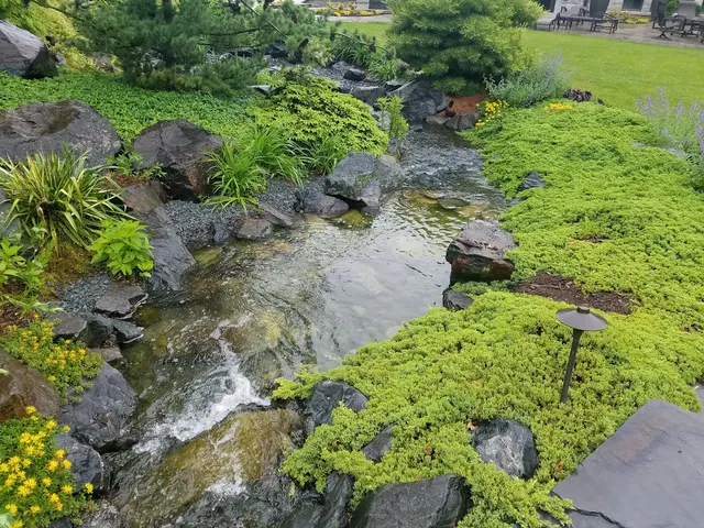 Aquatica — photo from the business 6