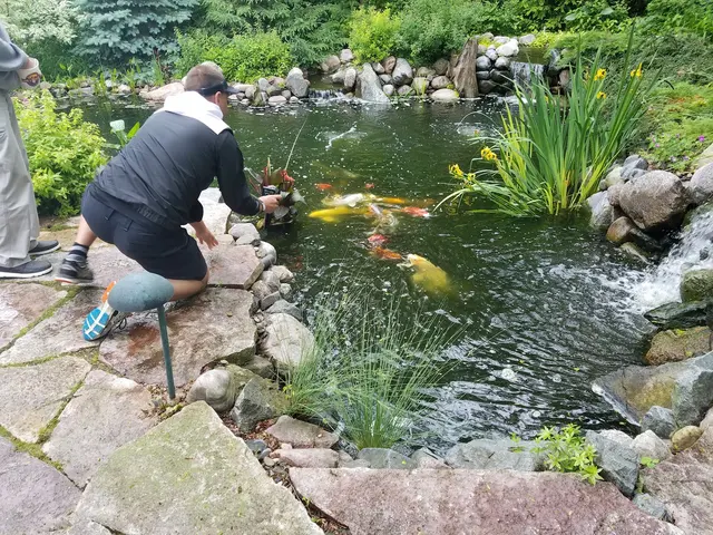 Aquatica — photo from the business 12