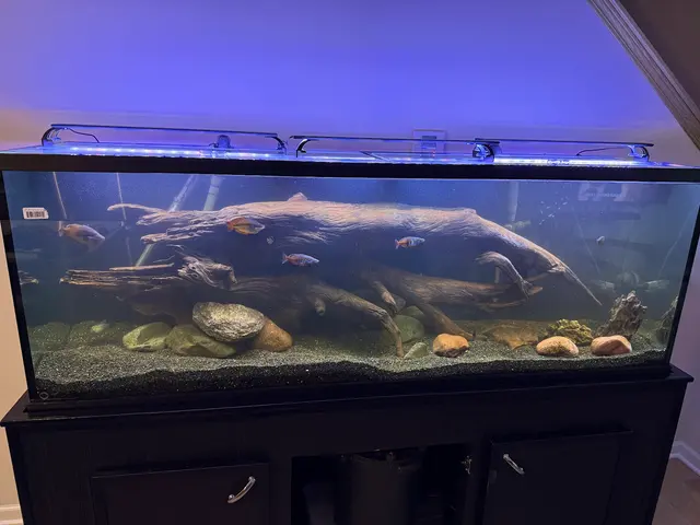 Customer photo from VW's review