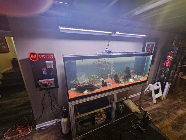 Aquatic Realmz Aquarium Maintenance & Design — customer photo 1