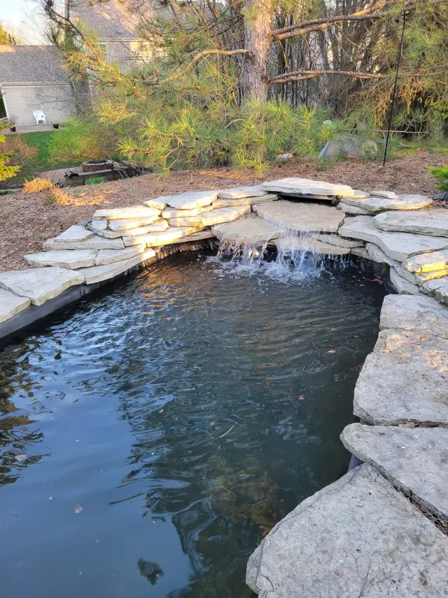 Aquatic Realmz Aquarium Maintenance & Design — customer photo 4
