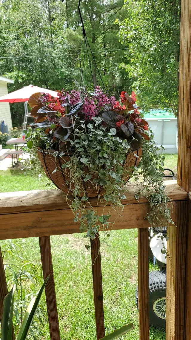 Agee Lawn & Garden — customer photo 5