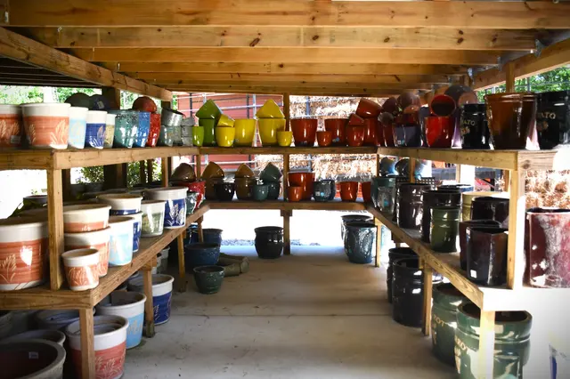 T-Bone's Nursery — customer photo 2