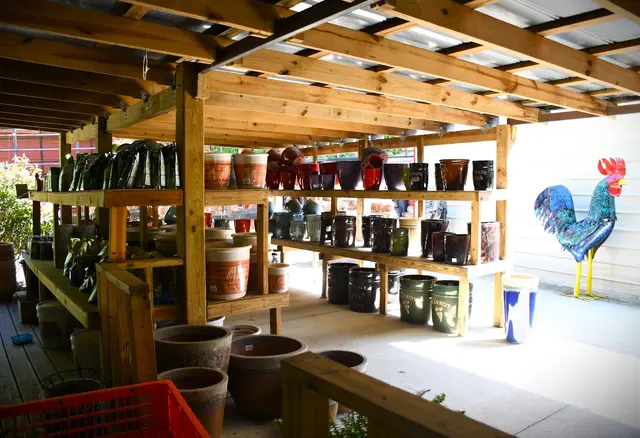 T-Bone's Nursery — customer photo 11
