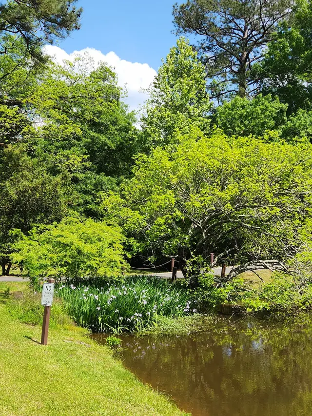 Lockerly Arboretum — customer photo 6