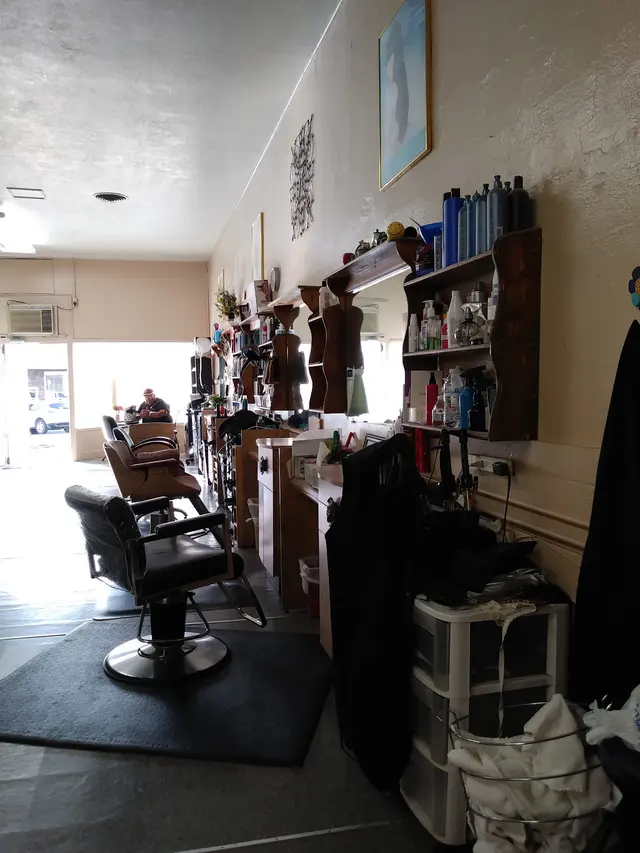 Globe Hair — customer photo 4