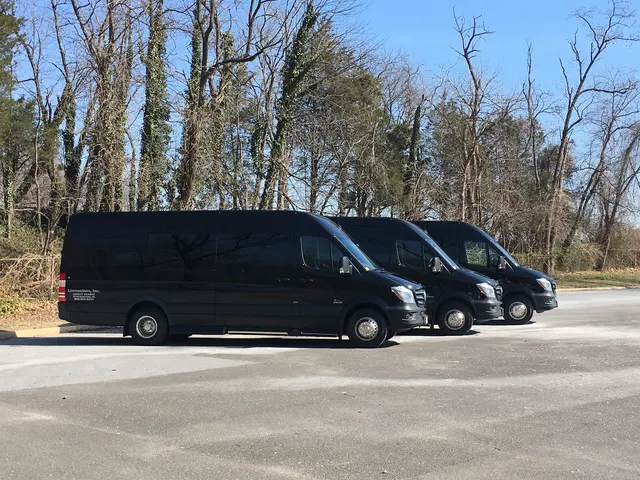 Limousines, Inc. — customer photo 3