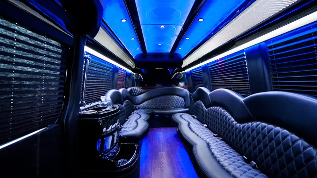 Limousines, Inc. — photo from the business 11