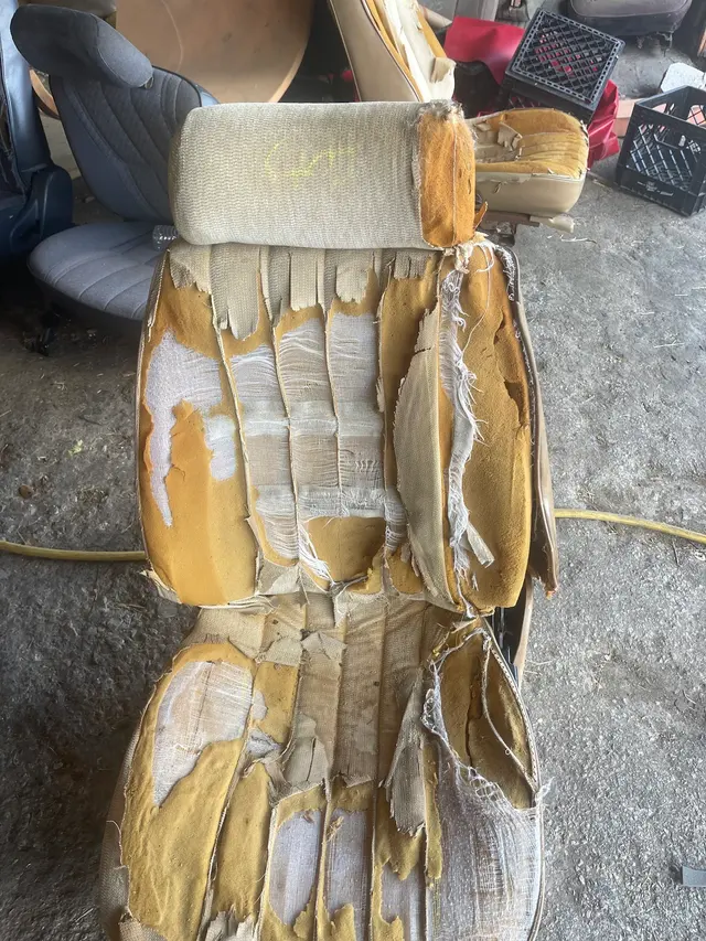 Customer photo from R's review