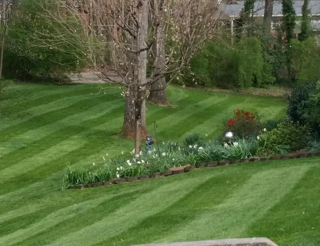 RD3 Landscaping — photo from the business 7