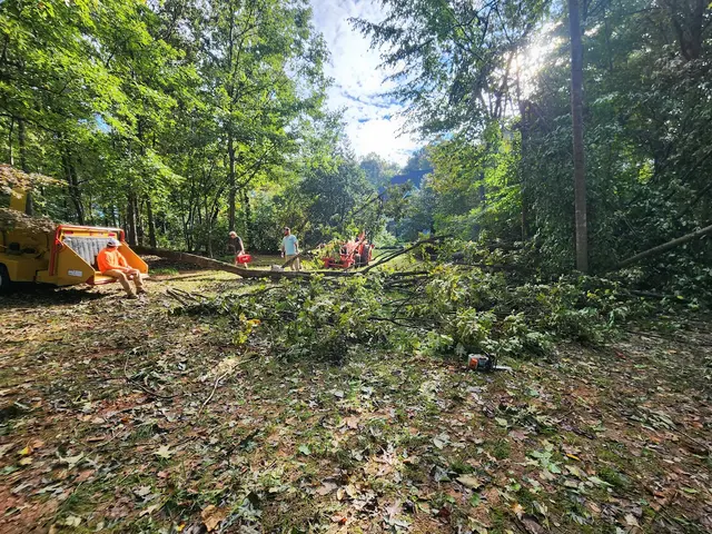 Kellers lawncare and landscaping LLC — photo from the business 11
