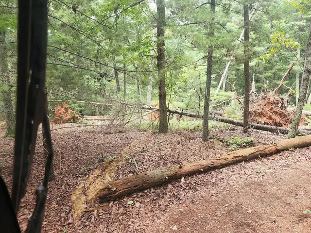 Kellers lawncare and landscaping LLC — photo from the business 9