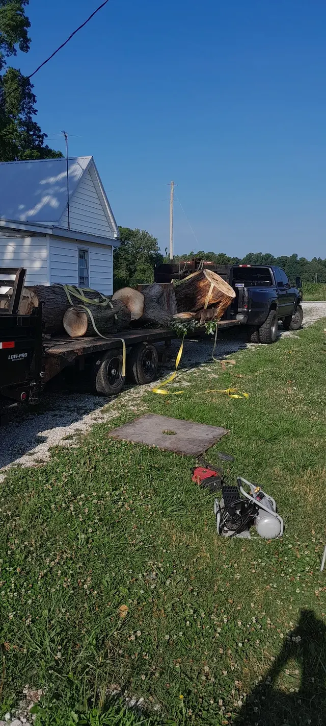 Wassmer's Property Maintenance LLC - tractor work, tree removal, gravel/mulch/dirt delivery,garden tilling. — photo from the business 3