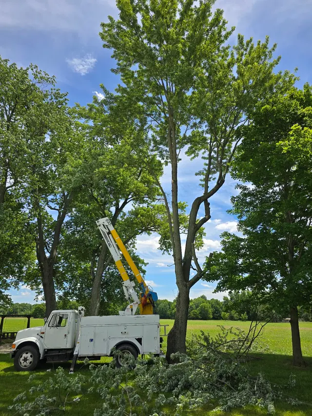 Wassmer's Property Maintenance LLC - tractor work, tree removal, gravel/mulch/dirt delivery,garden tilling. — photo from the business 12