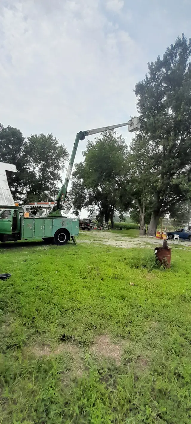 Wassmer's Property Maintenance LLC - tractor work, tree removal, gravel/mulch/dirt delivery,garden tilling. — photo from the business 9