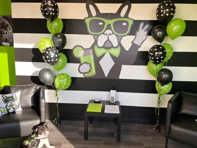 Party Dog Doggie Daycare and Boarding — photo from the business 6